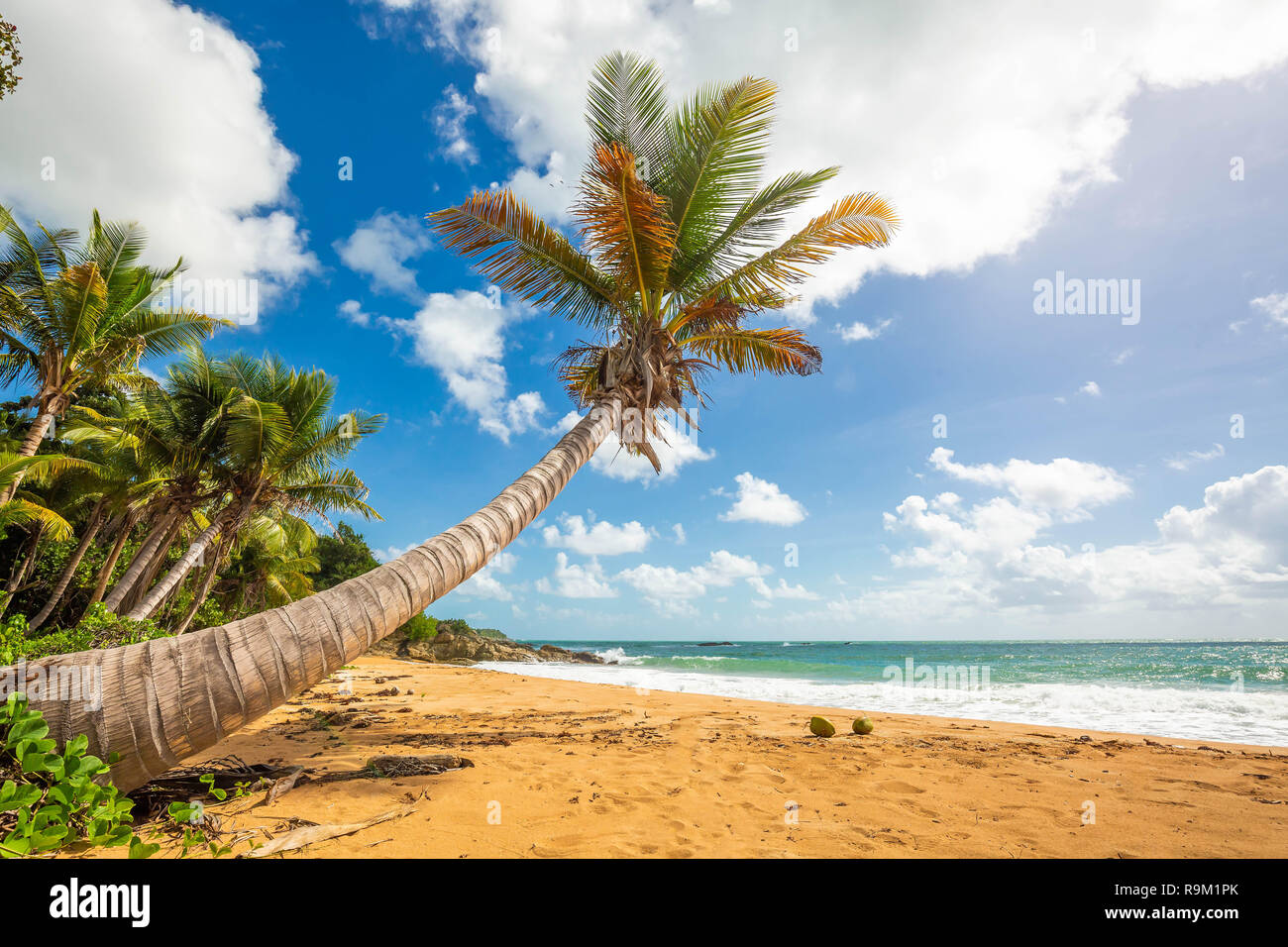 Exotic carribean shore of Puerto Rico Flamenco beach shore Stock Photo ...