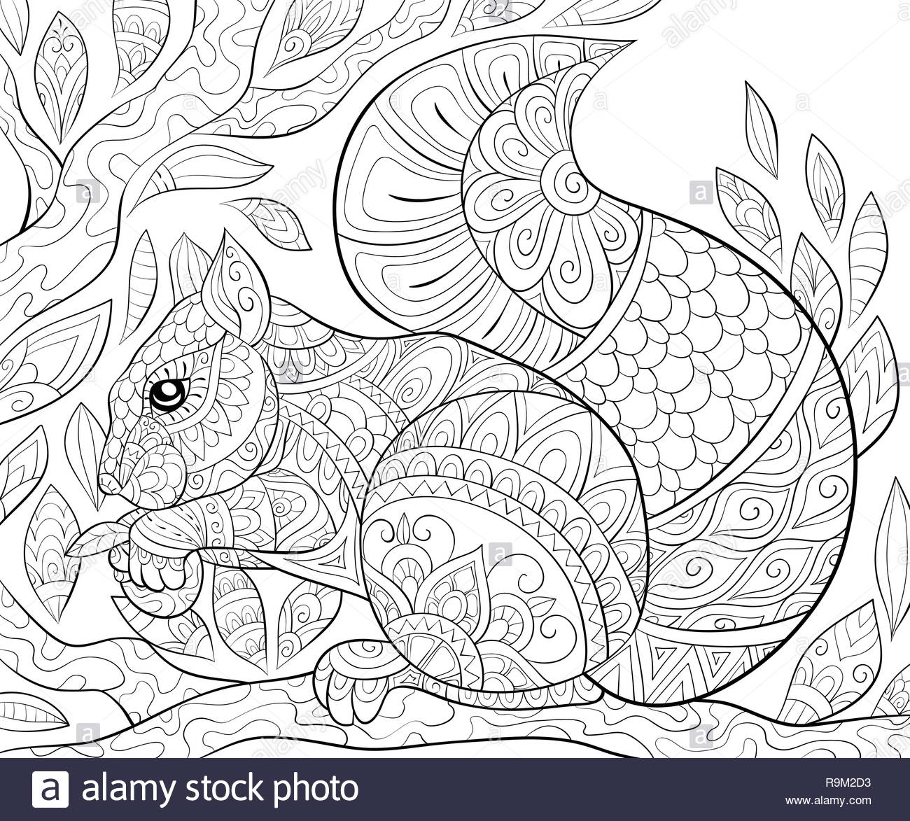 a cute squirrel on