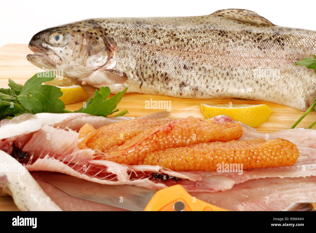 Trout Eggs Stock Photos Trout Eggs Stock Images Alamy