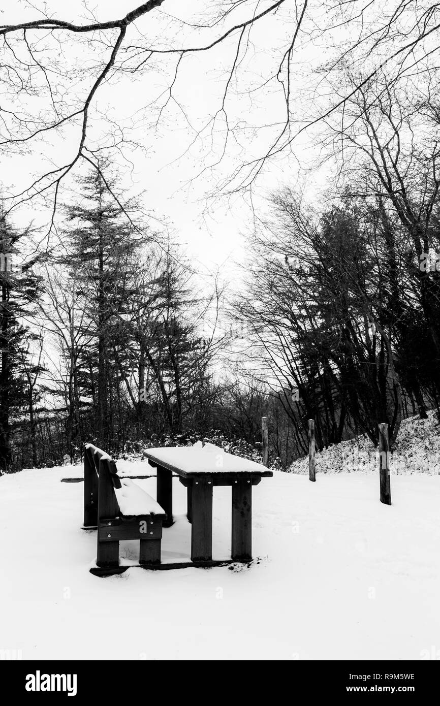 A park in winter with trees and a table and sitting bench covered by snow Stock Photo