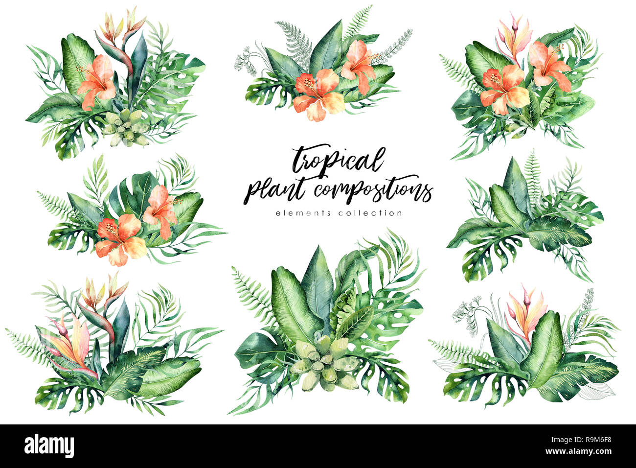 Hand Drawn Watercolor Tropical Flower Bouquets Exotic Palm Leaves Jungle Tree Brazil Tropic Botany Elements And Flowers Perfect For Fabric Design Stock Photo Alamy