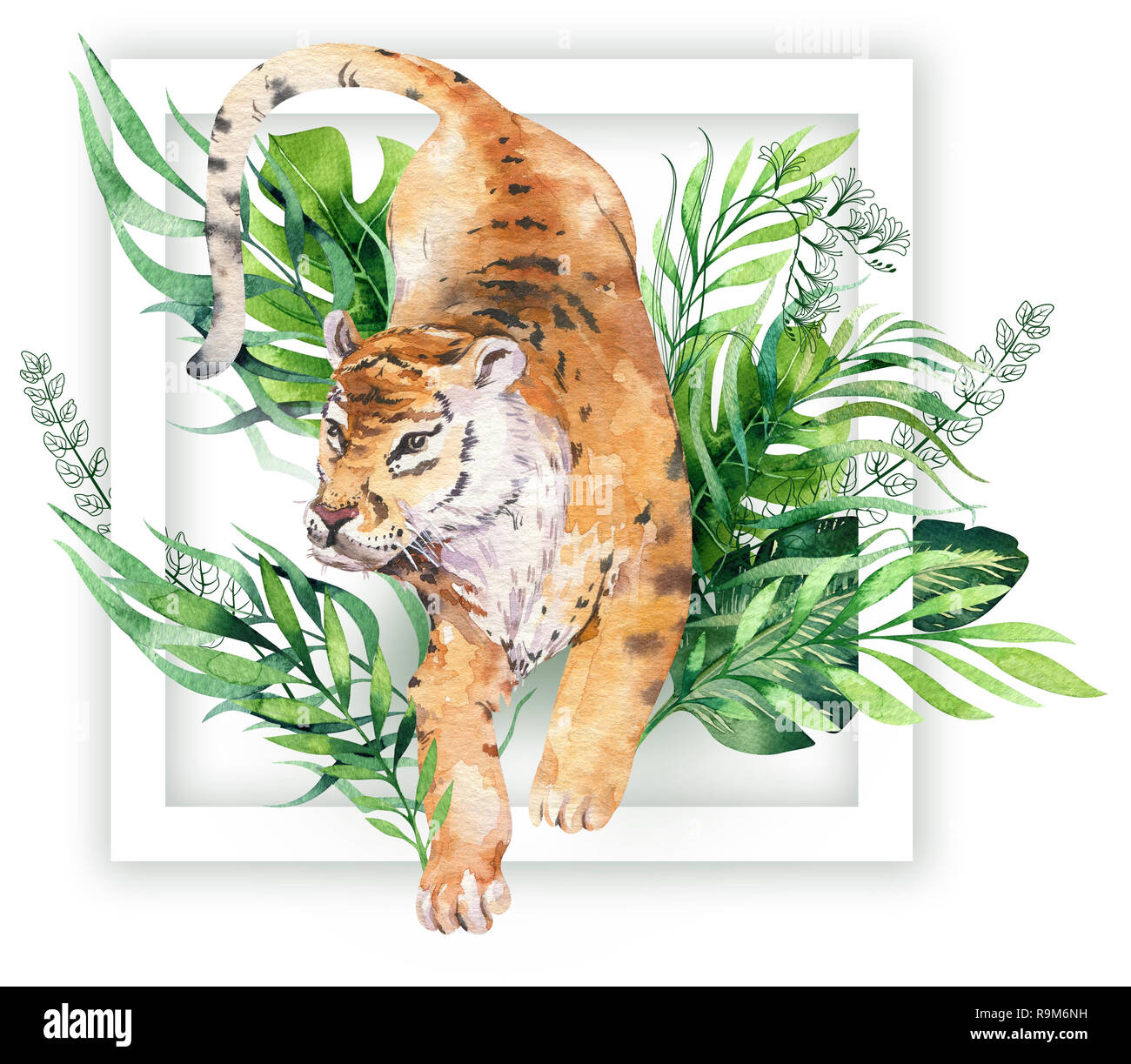 Watercolor Tiger Illustration And Summer Paradise Tropical Leaves Print Palm Plant And Flower Isolated O White Stock Photo Alamy