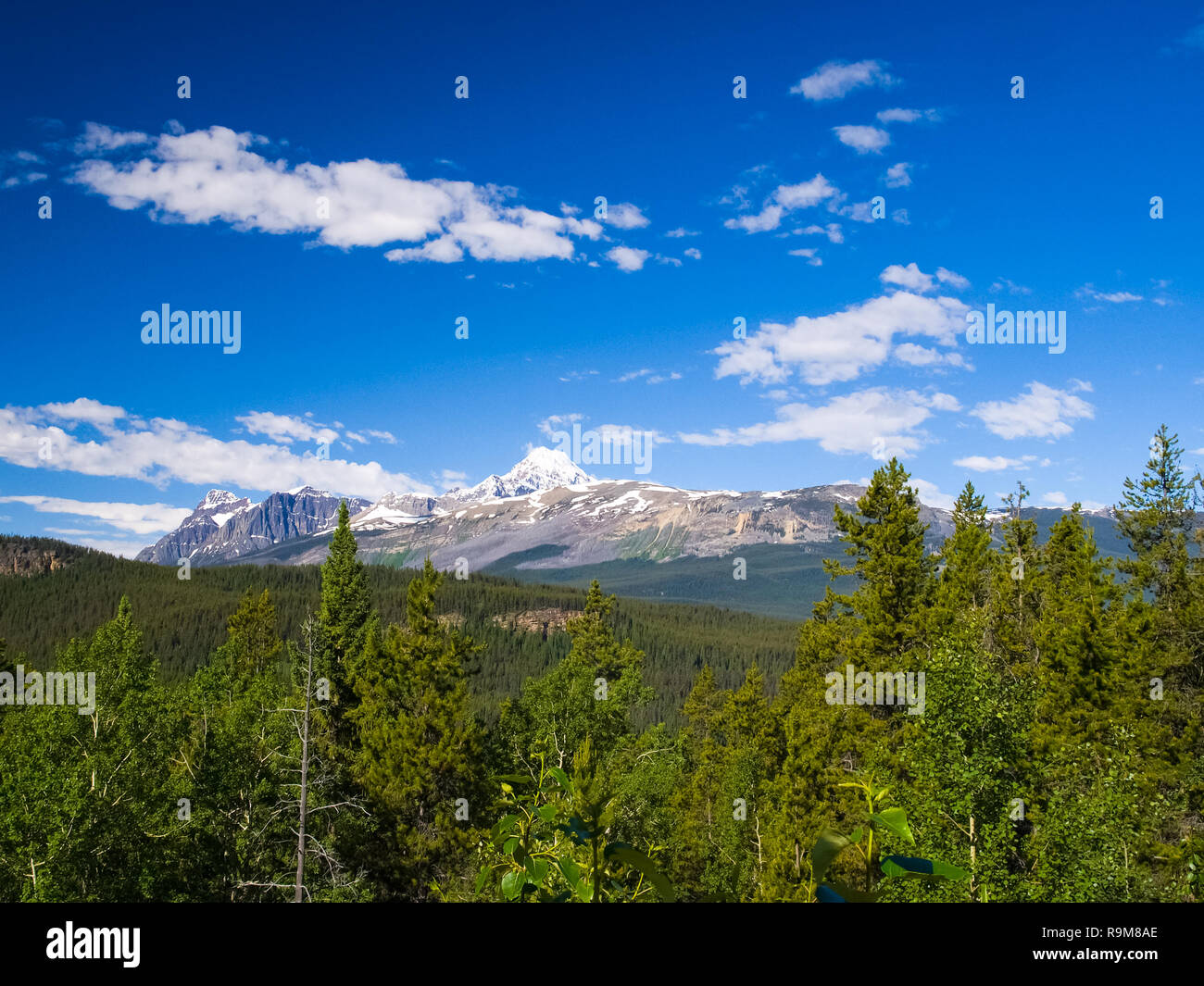 Mountains and forests in Canada. The pristine nature of the Canadian