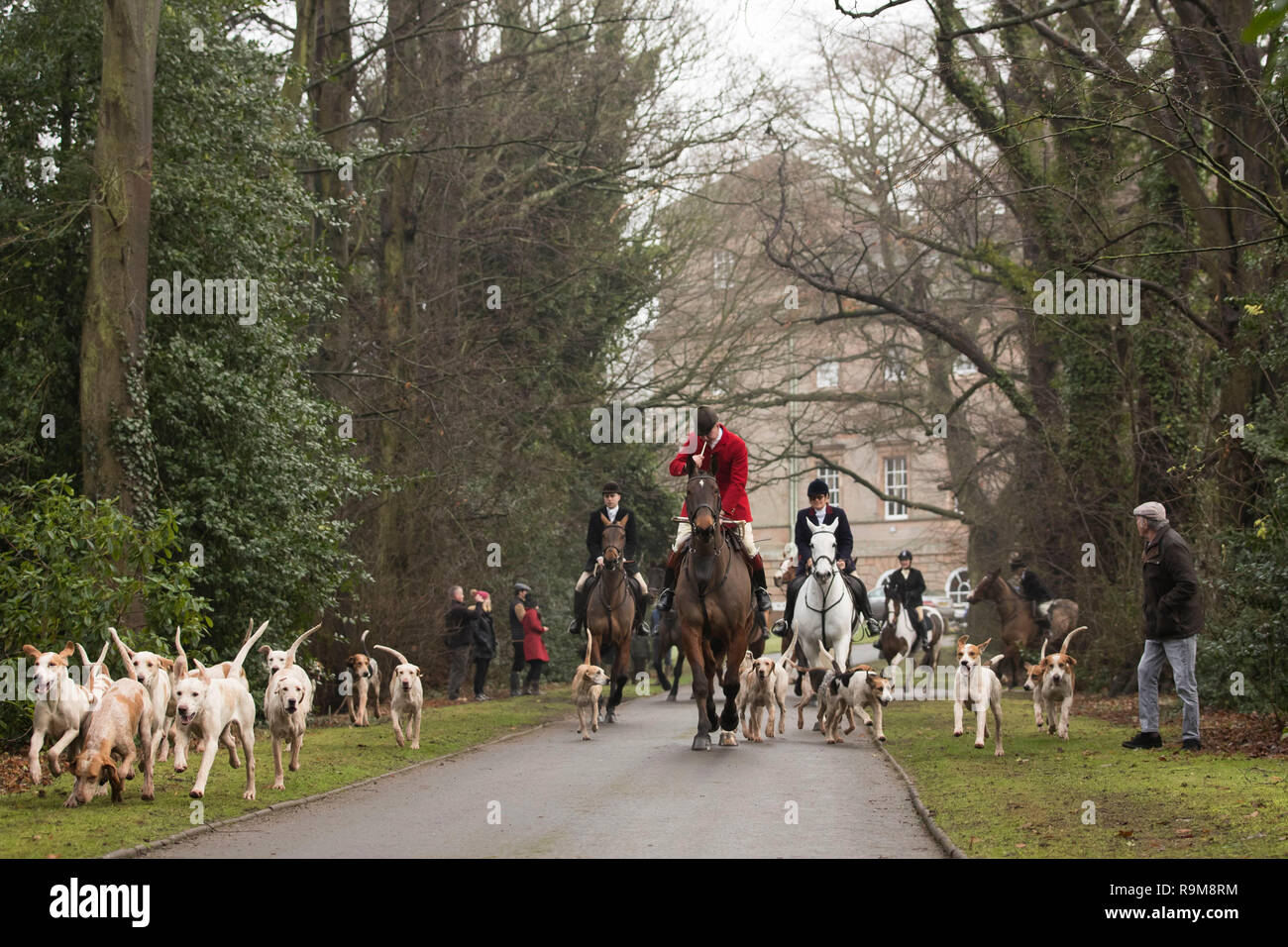 Members of the Albrighton &amp; Woodland Hunt gather at Hagley Hall near Stourbidge in the West Midlands for the Boxing Day hunt. Stock Photo