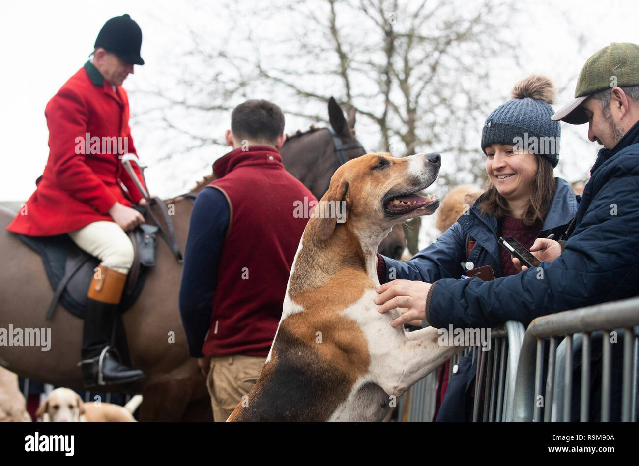 Members of the public pet a hound ahead of the Grove and Rufford Hunt, formed in 1952, setting off from Bawtry in South Yorkshire as hundreds of packs across the country meet for traditional Boxing Day hunts. Stock Photo