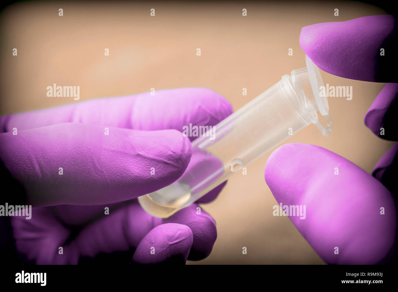 Scientist with pink latex gloves manipulates vial in laboratory