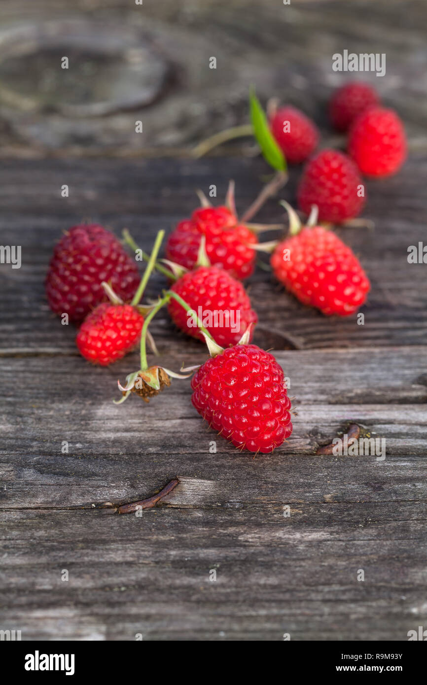 Ripe raspberry on the table in the garden. Fresh raspberry. Stock Photo
