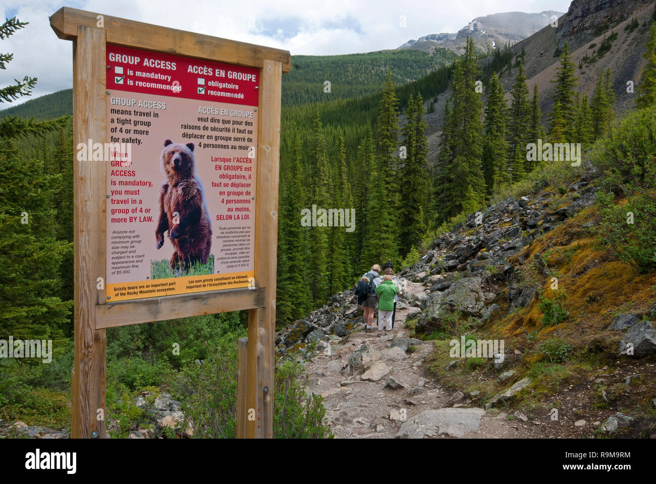 Warning sign about grizzly bears, Banff National Park, Rocky Mountains, Alberta, Canada Stock Photo