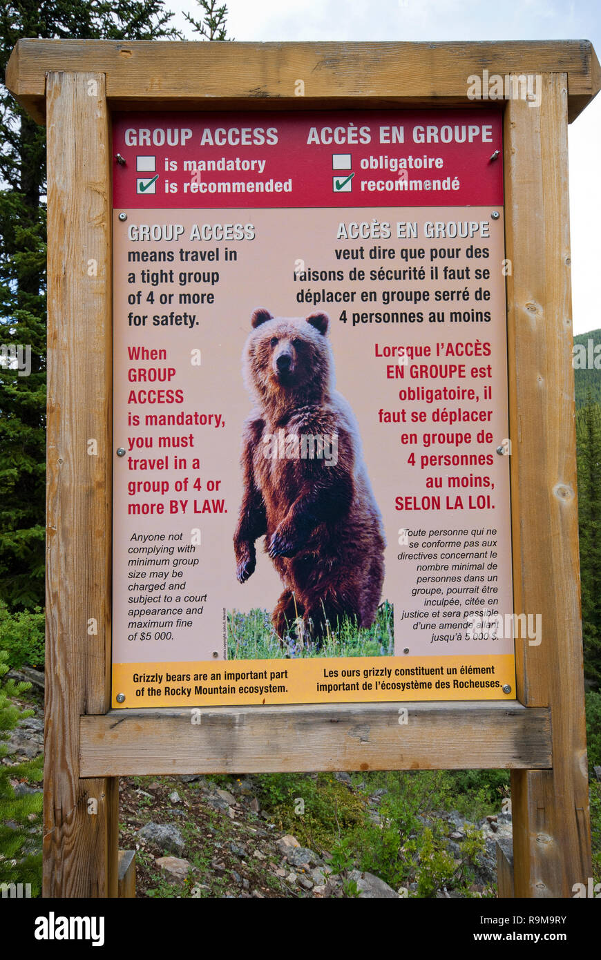 Warning sign about grizzly bears, Banff National Park, Rocky Mountains, Alberta, Canada Stock Photo