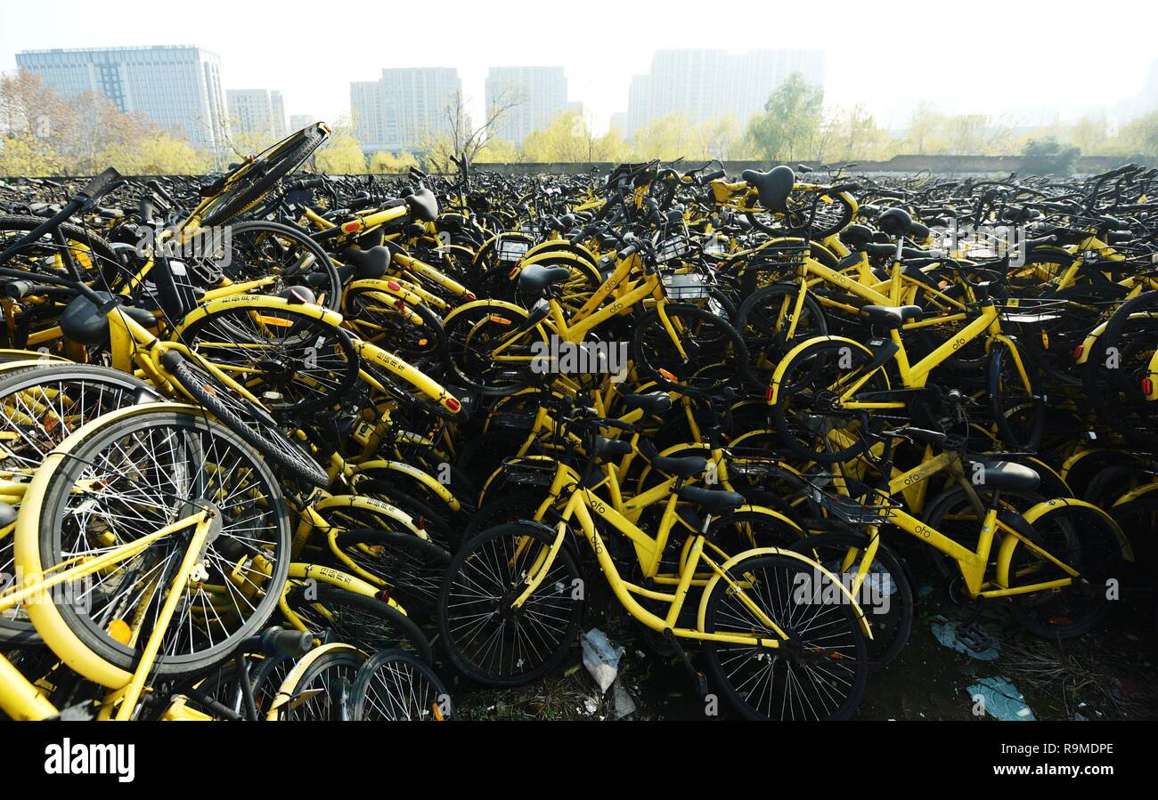 ofo bike news