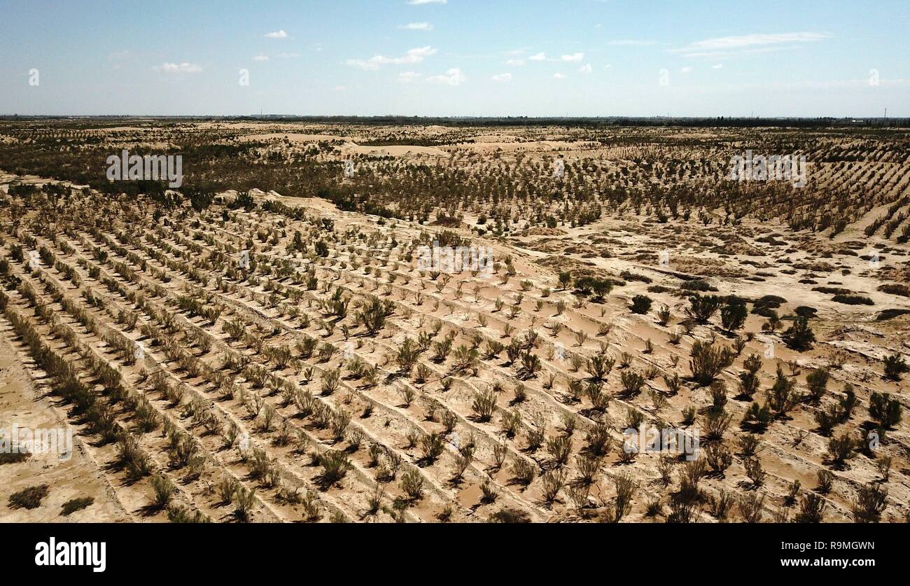 province de gansu china desert greening