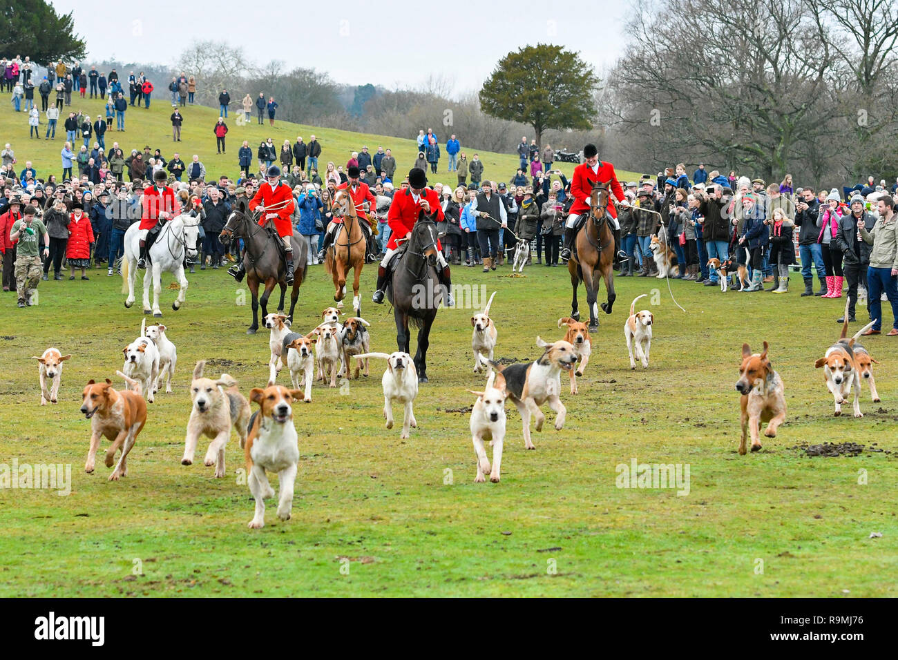 Lyndhurst, Hampshire, UK.  26th December 2018.  The New Forest Hounds hunt meets up for their annual Boxing Day hunt at Boltons Bench at Lyndhurst in Hampshire.  The huntsmen and hounds.  Picture Credit: Graham Hunt/Alamy Live News Stock Photo