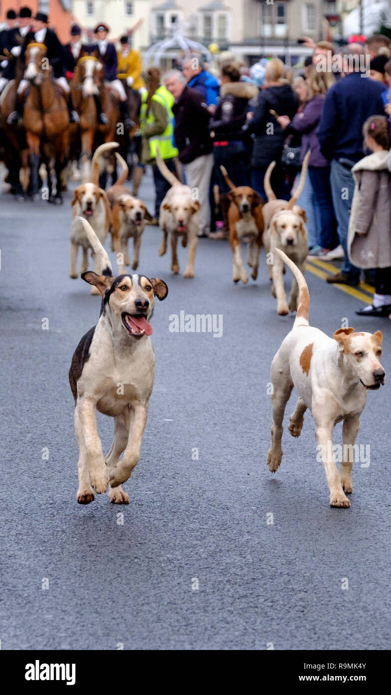Thornbury, Gloucestershire, UK. 26th Dec 2018. The Berkeley Hunt meet in Thornbury for the annual Boxing Day Meet. The ever popular Christmas tradition draws in the crowds to see the spectacle of the Berkely Hunt galloping with hounds through Thornbury High St. ©Alamy Live News / Mr Standfast Credit: Mr Standfast/Alamy Live News Stock Photo