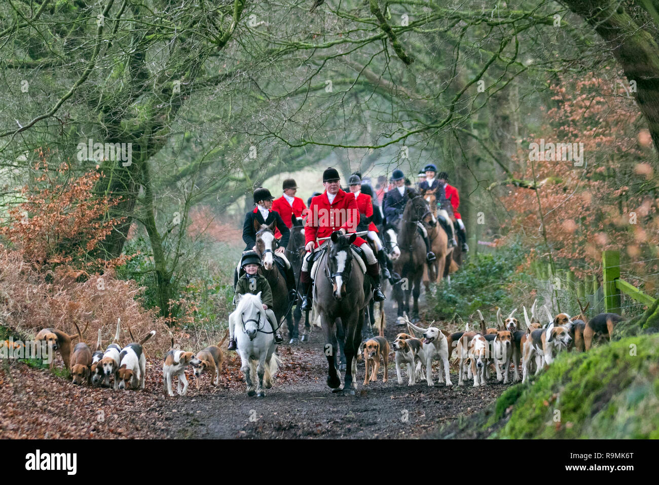 Hunting With Horses High Resolution Stock Photography And Images