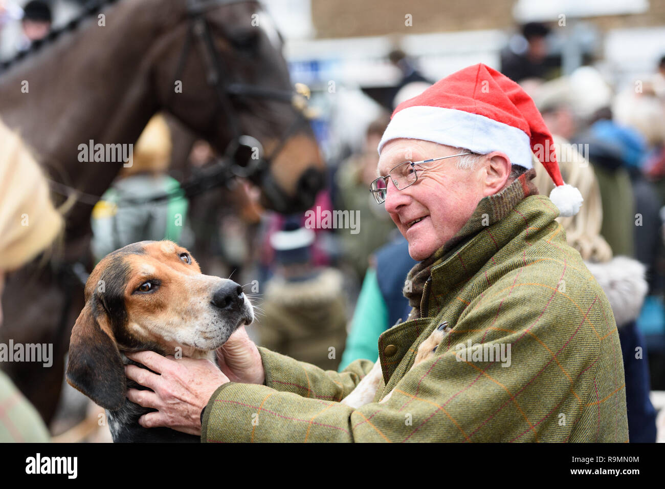 A visitor meets a friendly Cottesmore hound. The Cottesmore Hunt Boxing Day Meet in Oakham, Wednesday 26 December 2018 © 2018 Nico Morgan. All Rights Reserved Stock Photo