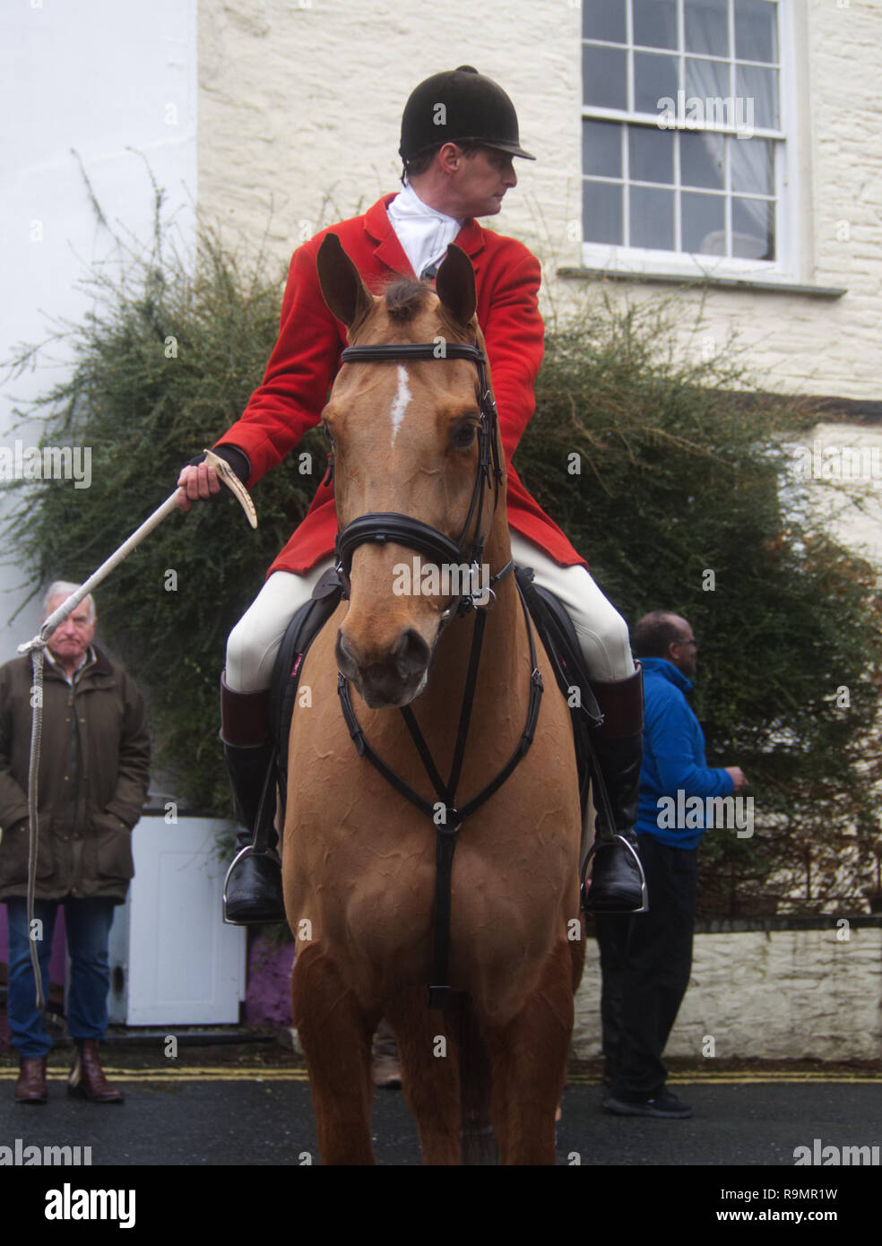 Hunting with fox hounds on Boxing Day Cornwall UK Stock Photo