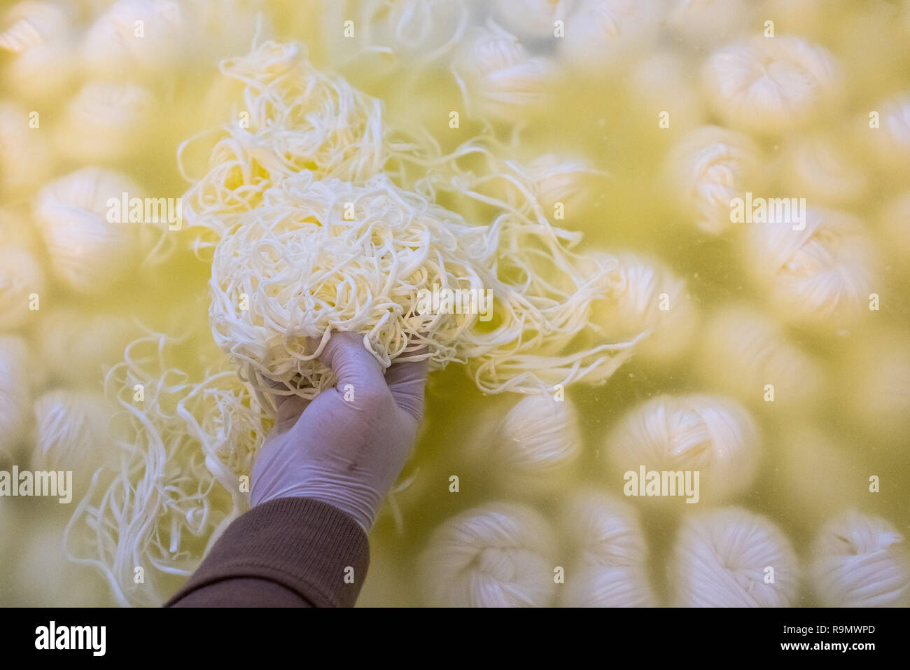 Illingen, Germany. 28th Nov, 2018. Chalali cheese floats in a tub in the rooms of the Cham Saar cheese dairy. (to dpa 'How a Syrian in Saarland came across cheese' from 27.12.2018) Credit: Oliver Dietze/dpa/Alamy Live News Stock Photo