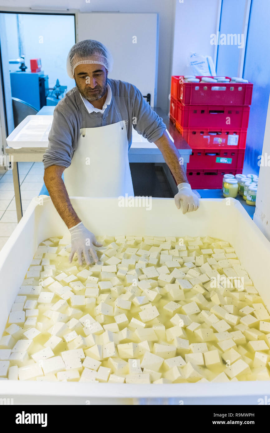 Illingen, Germany. 28th Nov, 2018. An employee of Cham Saar Käserei checks Baladia cheese swimming in a vat. (to dpa 'How a Syrian in Saarland came across cheese' from 27.12.2018) Credit: Oliver Dietze/dpa/Alamy Live News Stock Photo