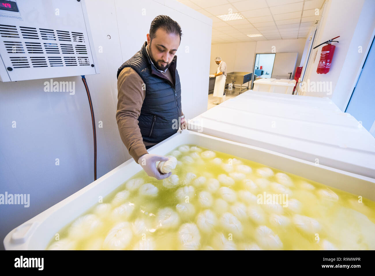 Illingen, Germany. 28th Nov, 2018. Abdul Saymoa controls Chalali cheese floating in a vat. After his escape from Syria, Saymoa began to produce his own typical cheese from his homeland. (to dpa 'How a Syrian in Saarland came across cheese' from 27.12.2018) Credit: Oliver Dietze/dpa/Alamy Live News Stock Photo