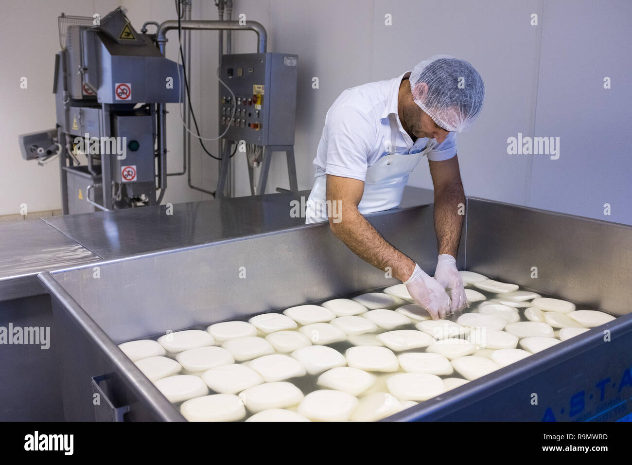 Illingen, Germany. 28th Nov, 2018. An employee of Cham Saar Käserei checks Akawee cheese swimming in a vat. (to dpa 'How a Syrian in Saarland came across cheese' from 27.12.2018) Credit: Oliver Dietze/dpa/Alamy Live News Stock Photo