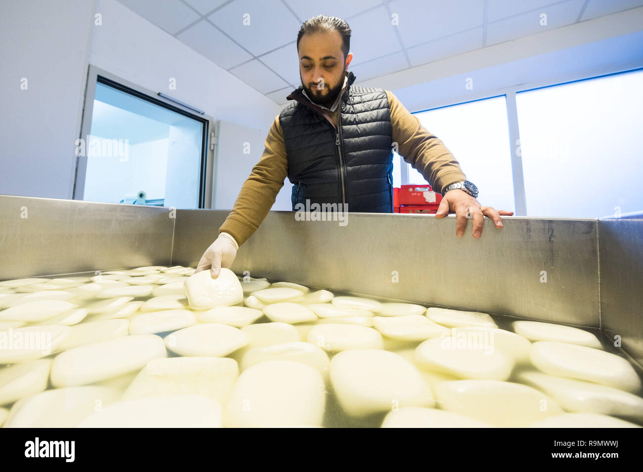 Illingen, Germany. 28th Nov, 2018. Abdul Saymoa controls Akawee cheese floating in a vat. After his escape from Syria, Saymoa began to produce his own typical cheese from his homeland. (to dpa 'How a Syrian in Saarland came across cheese' from 27.12.2018) Credit: Oliver Dietze/dpa/Alamy Live News Stock Photo