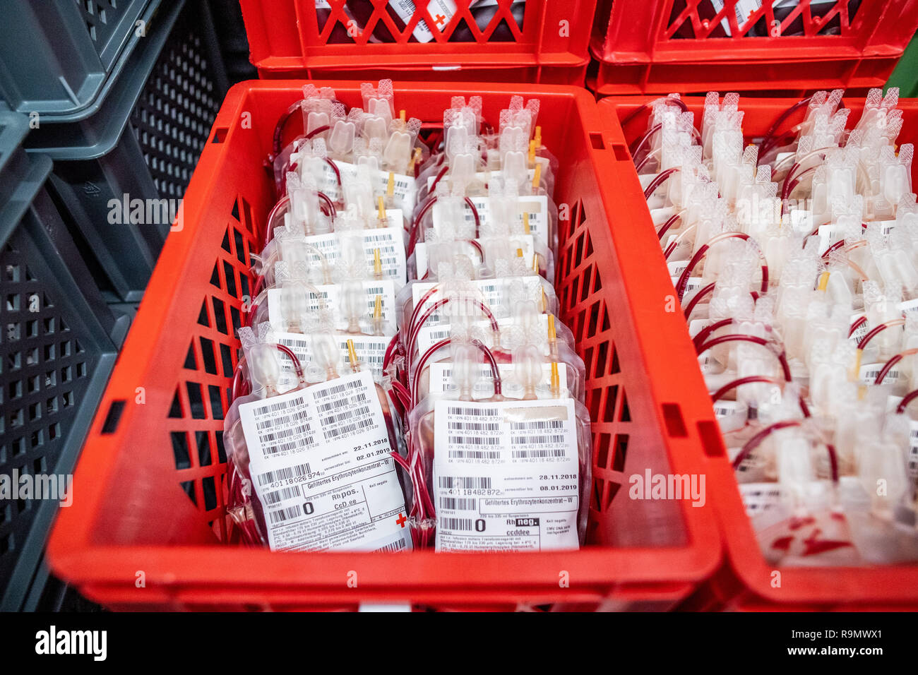 Hagen, Germany. 03rd Dec, 2018. Filtered erythrocyte concentrate is collected in storage baskets in the production facility for blood products. As the largest blood bank in Europe, the establishment of the DRK-West in Hagen is new to the start and serves many clinics and thousands of patients in several federal states. Credit: Marcel Kusch/dpa/Alamy Live News Stock Photo