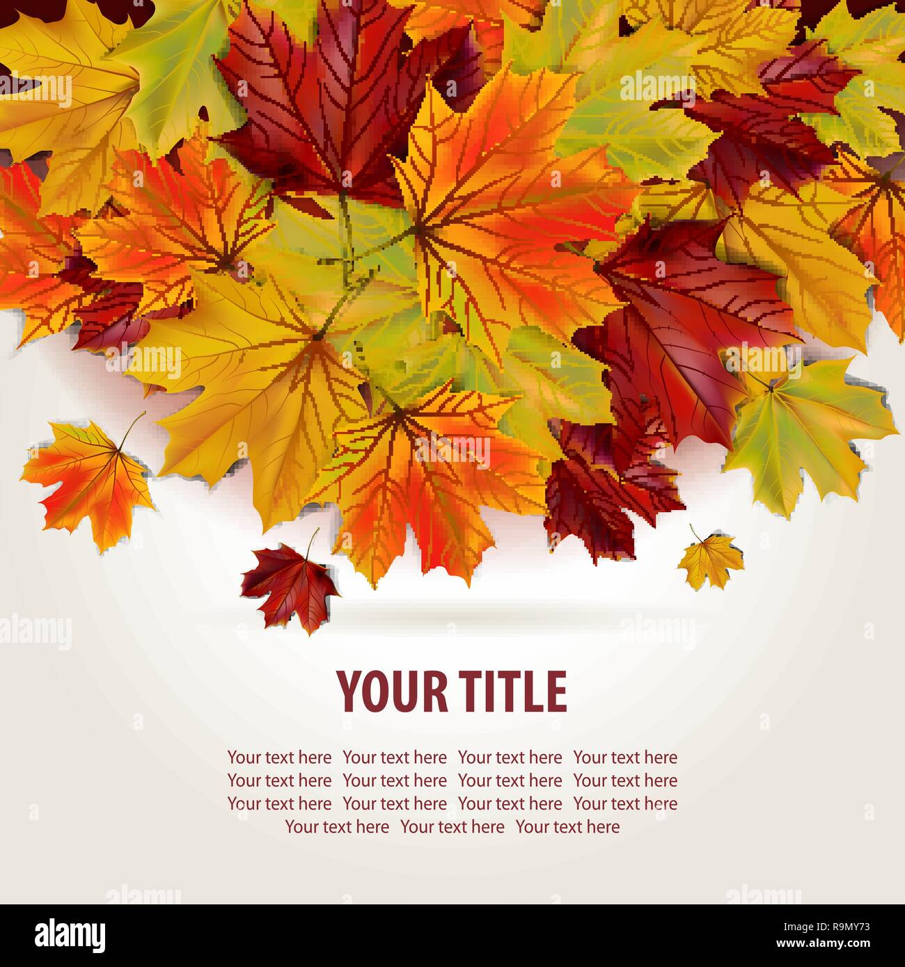 Beautiful autumn background with colorful maple leaves and place for ...