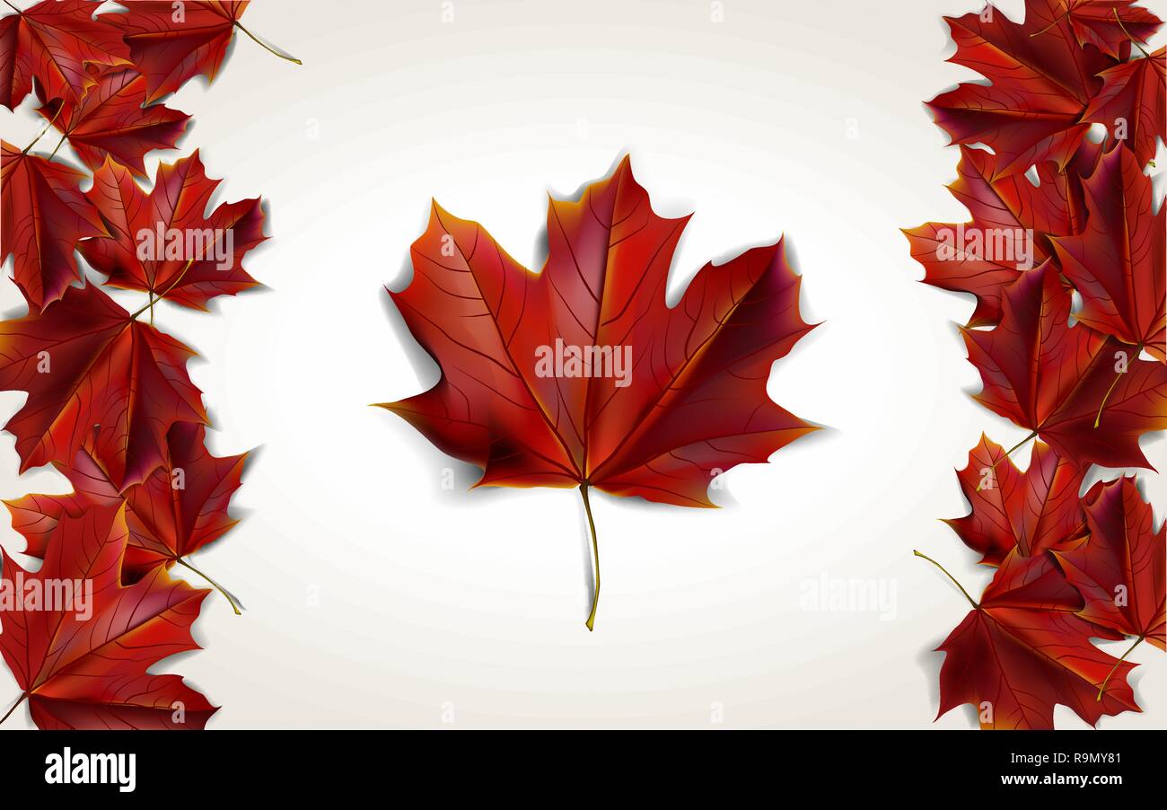 Maple leaves placed in form of Canadian flag, vector illustration Stock Vector