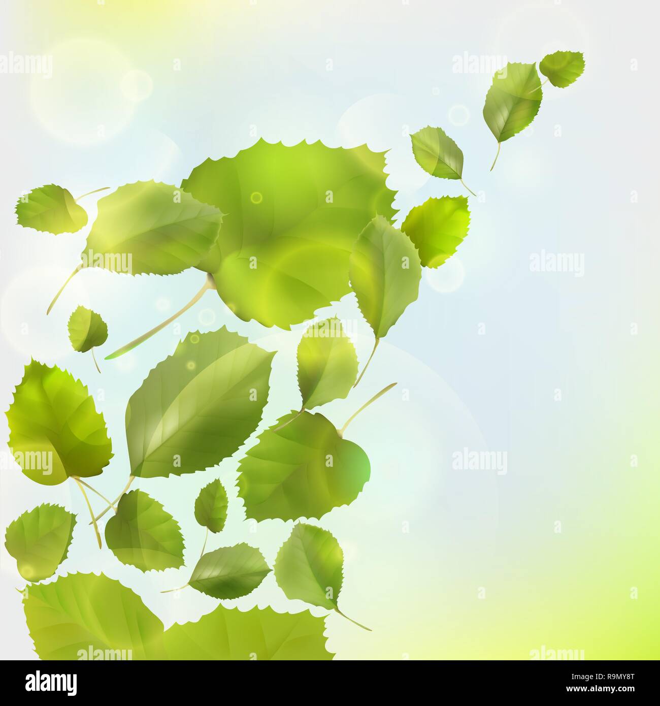 Nature background with fresh green leaves and sunshine Stock Vector ...