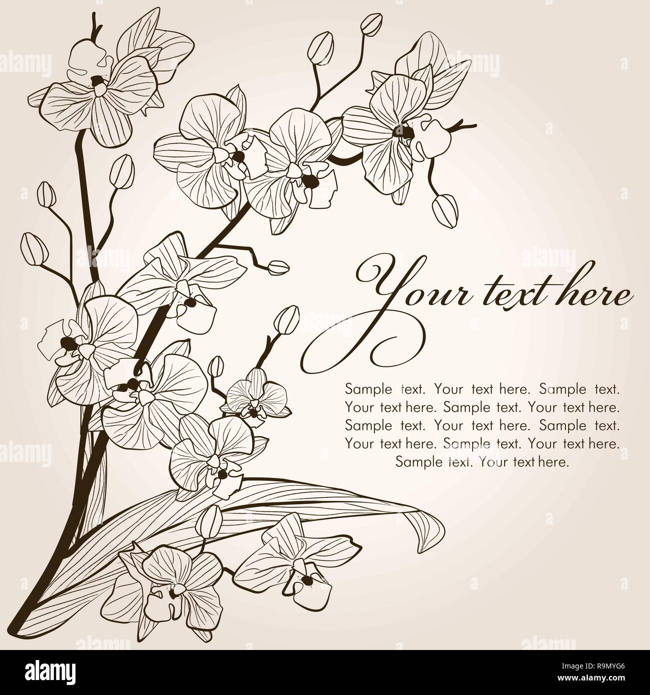 Beautiful vintage orchid background, vector sketch illustration Stock ...