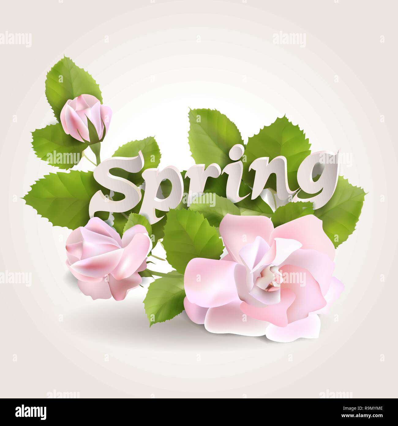 Fresh spring background with leaves and roses Stock Vector
