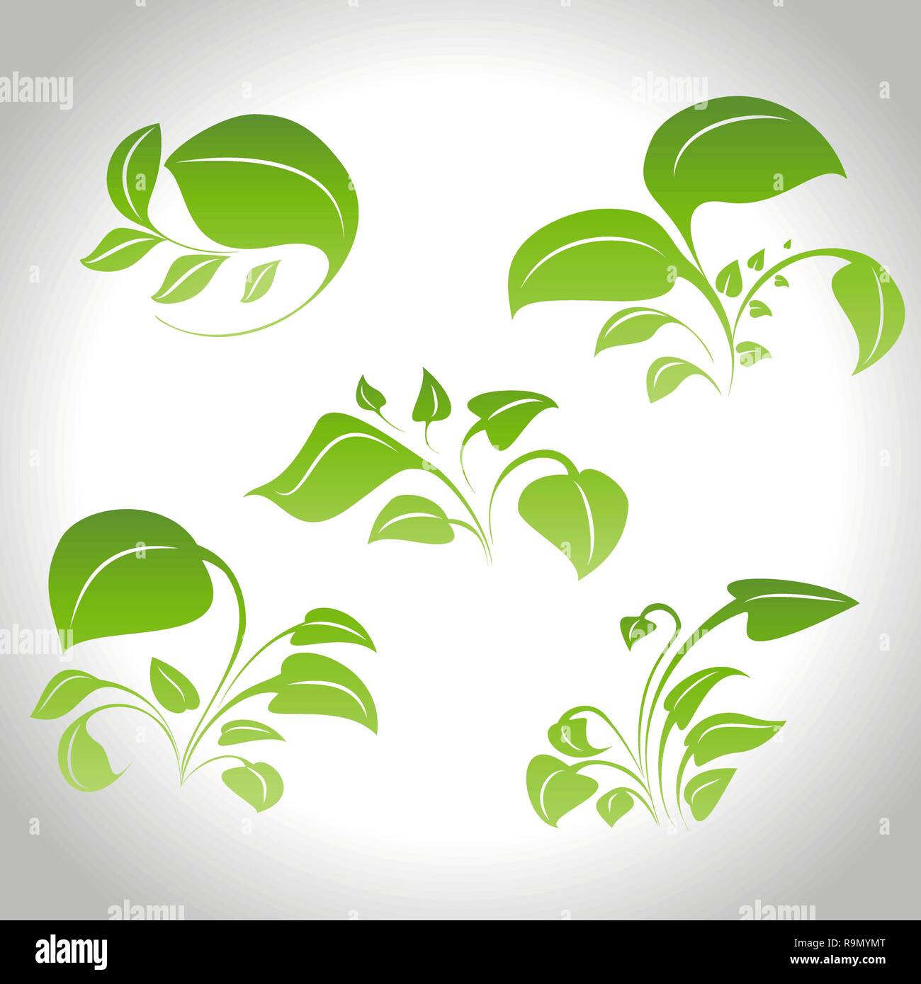 Set of floral elements for design isolated on white Stock Vector Image ...