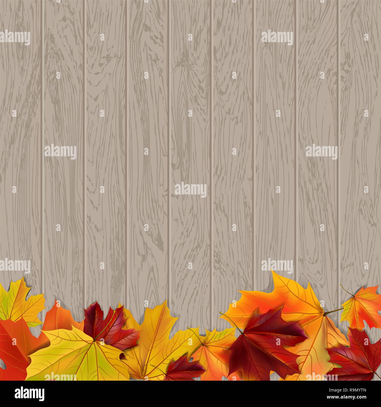 Autumn background with autumn leaves on wooden surface, vector ...