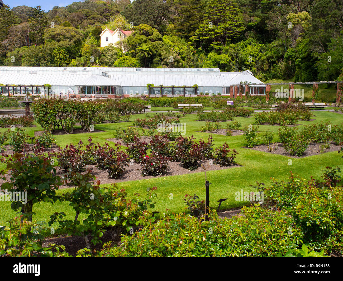 The Lady Norwood Rose Garden In The Wellington Botanic Gardens Stock Photo