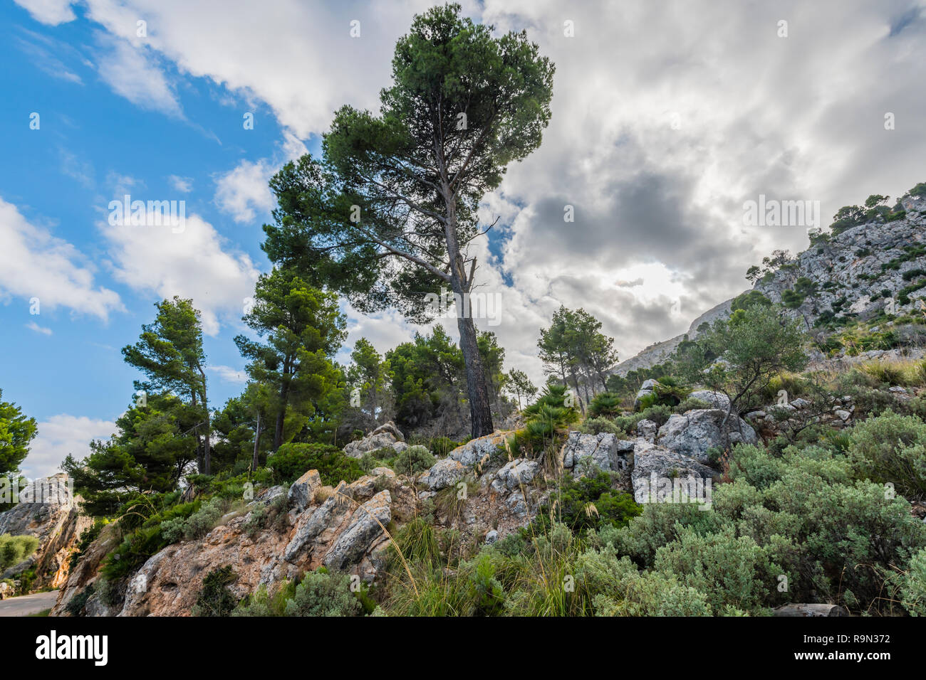 Mallorca Landschaft Kuestenstrasse Norden, Majorca Landscape northern coastal highway Stock Photo