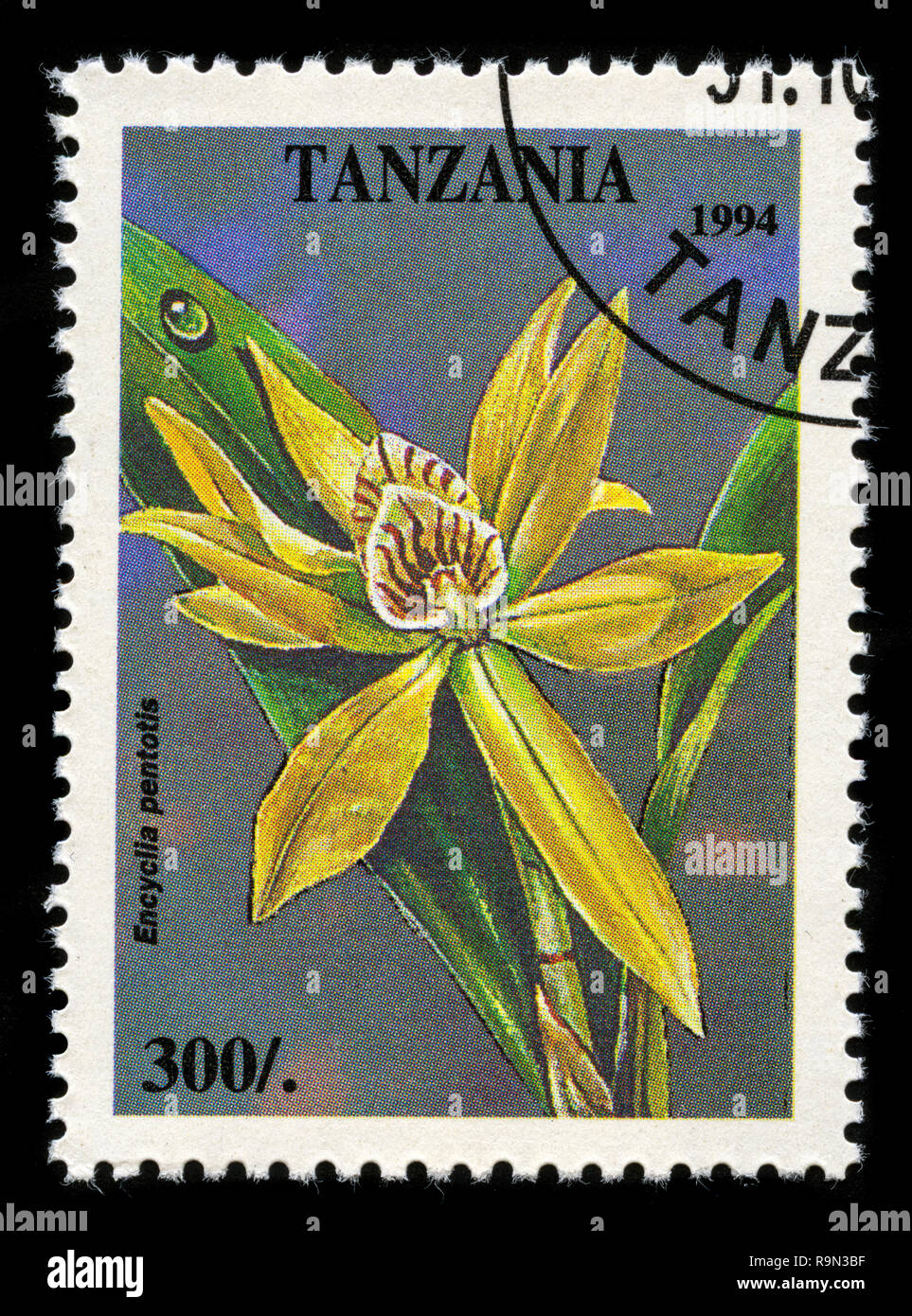 Postage stamp from Tanzania in the Tropical Flowers series issued in 1994 Stock Photo