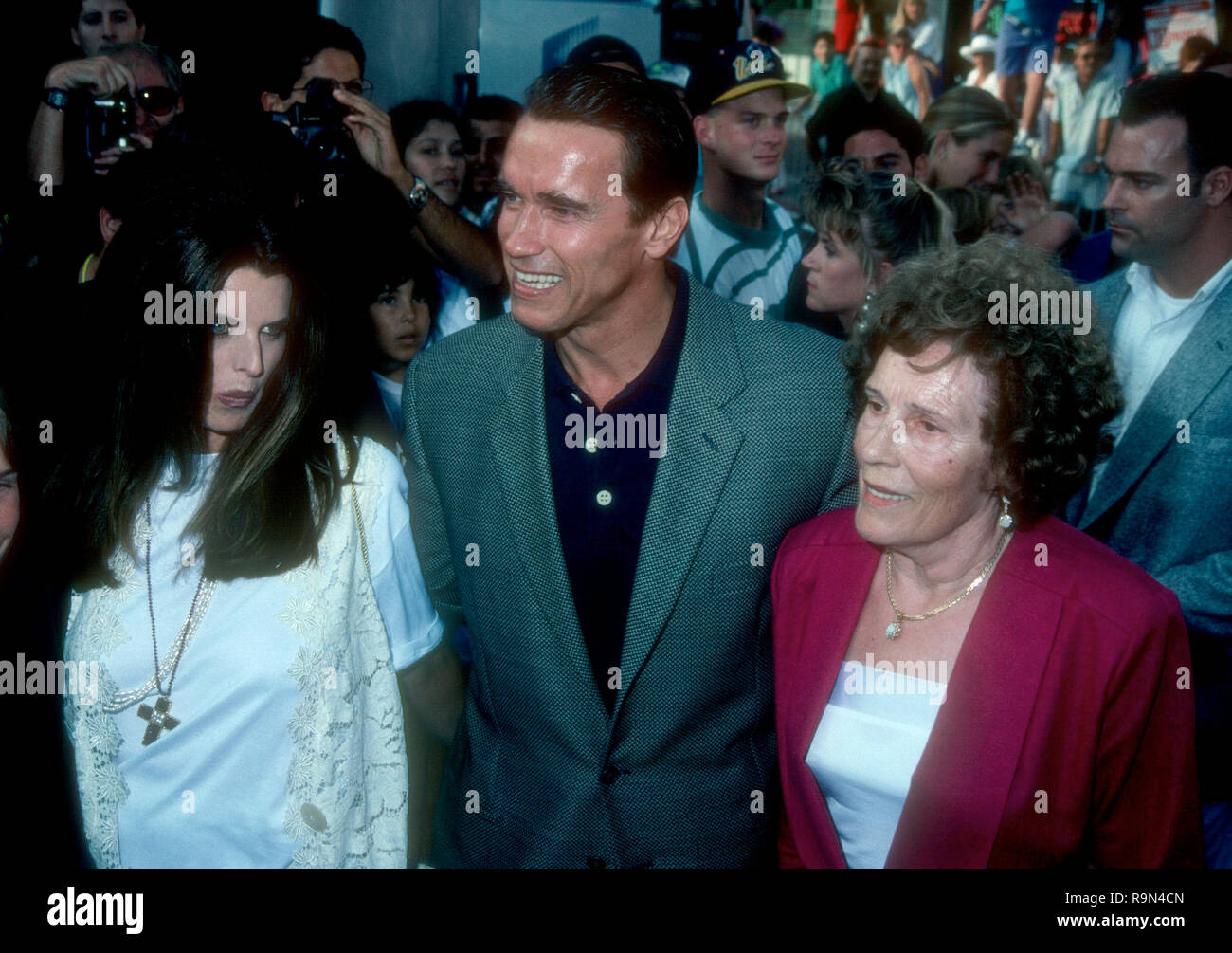 Aurelia schwarzenegger hi-res stock photography and images - Alamy