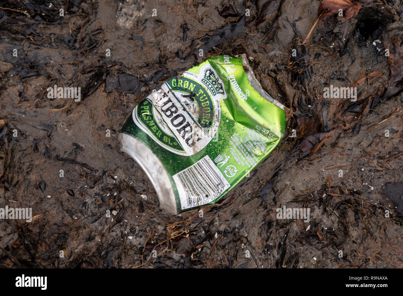 Squashed Tuborg beer can in mud Stock Photo