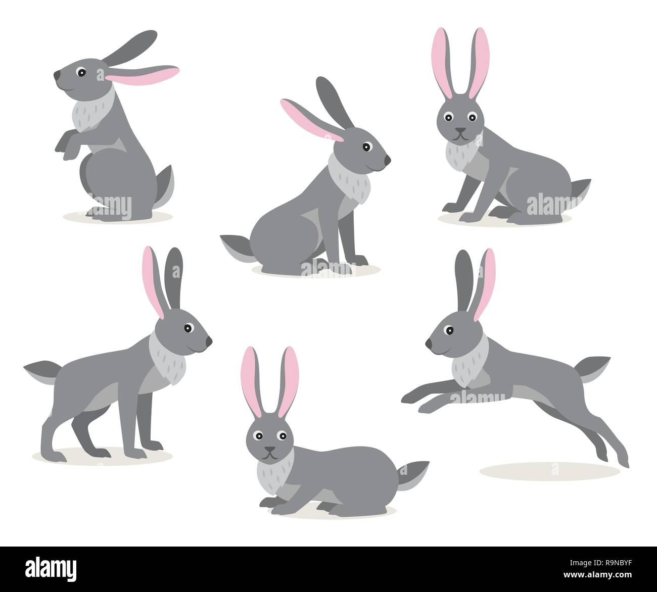 Set of cute gray hare in different pose on white background Stock Vector