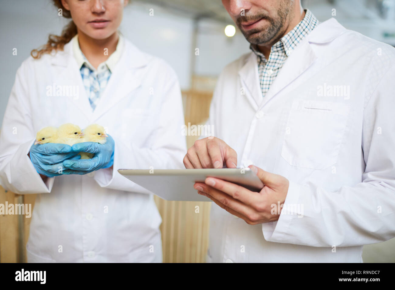 Scientific network hi-res stock photography and images - Alamy