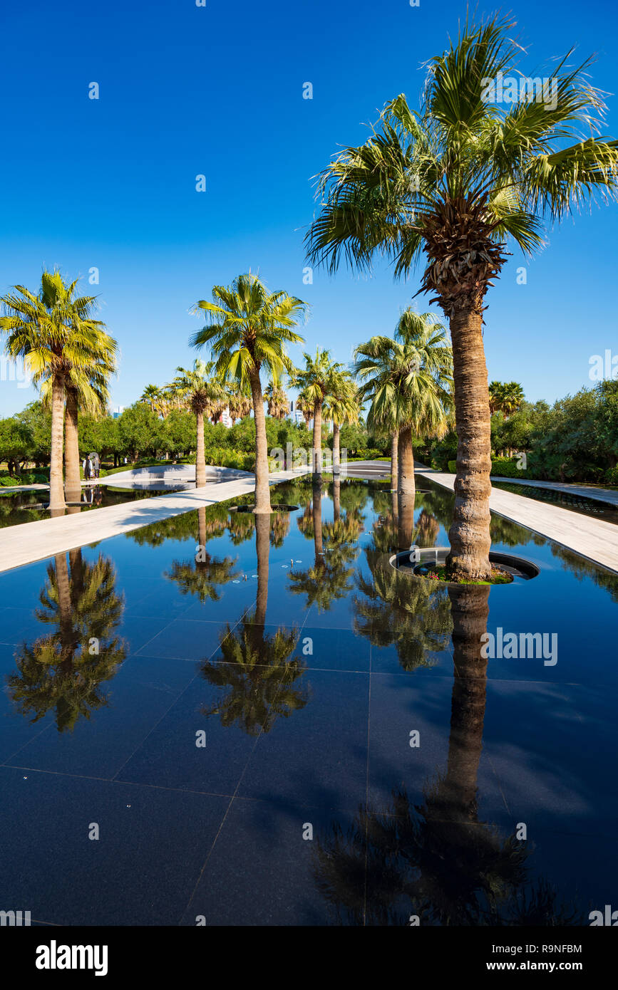 Palm trees reflected inn pond at  Al Shaheed Park in Kuwait City,Kuwait, Middle East Stock Photo