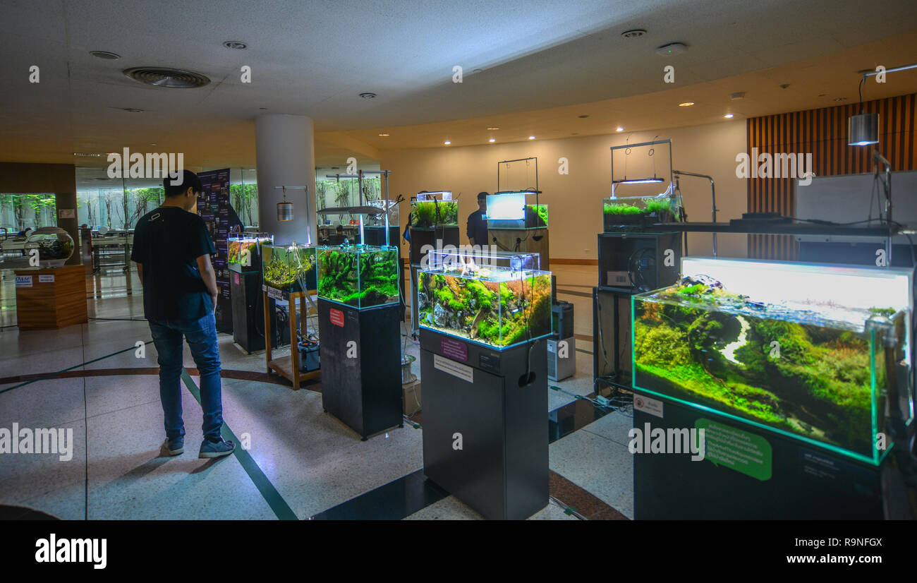 Bangkok Thailand Sep 16 2018 Aquarium Decorations For Sale At