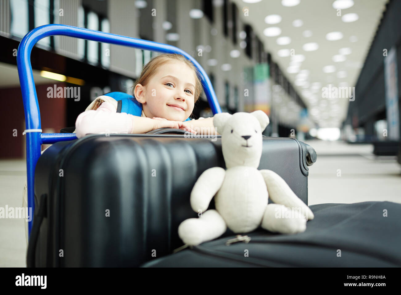 Traveler with luggage Stock Photo Alamy
