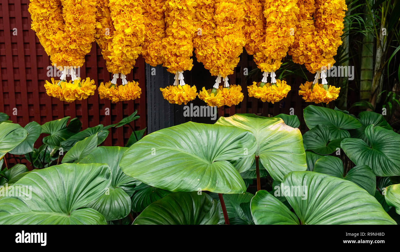 Praying flowers with green plants at a Hindu temple in Bangkok ...