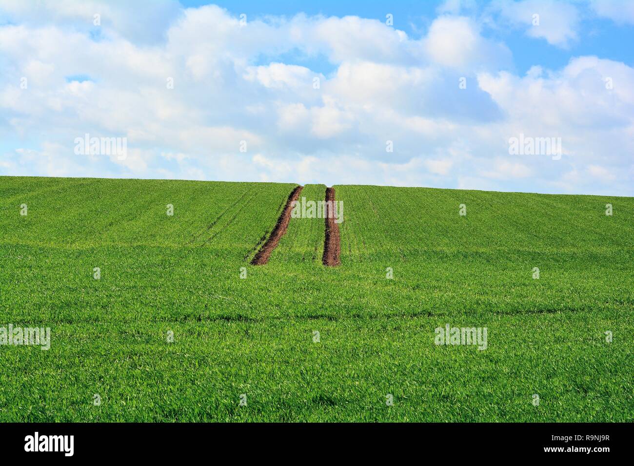 Tire track of a tractor on a field Stock Photo