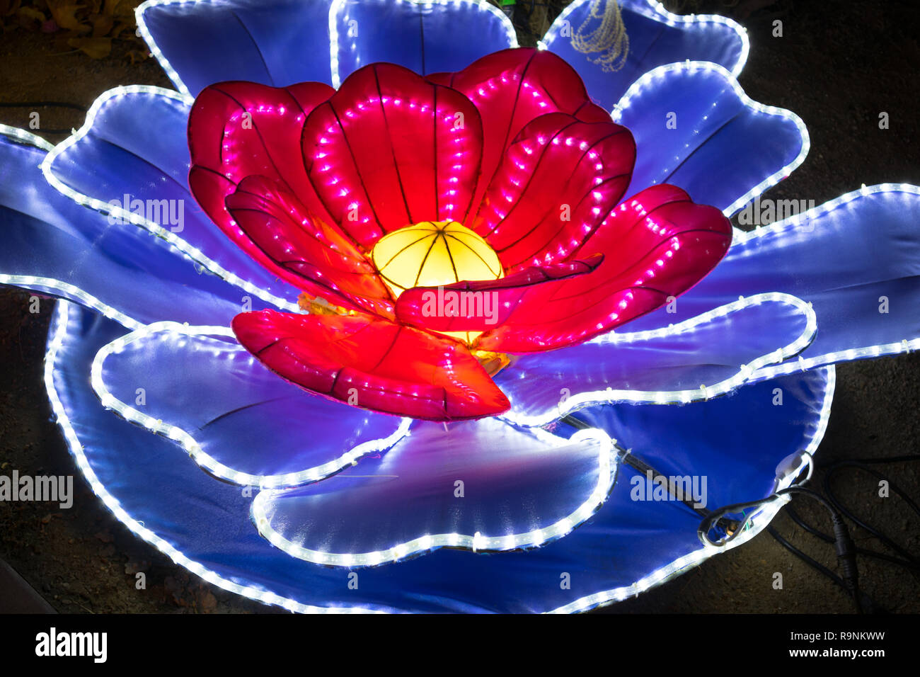 Dragon Lights Albuquerque, Silk Lotus lantern. Chinese traditional art celebrates the Chinese New Year. Handcrafted by artisans from Zigong China Stock Photo