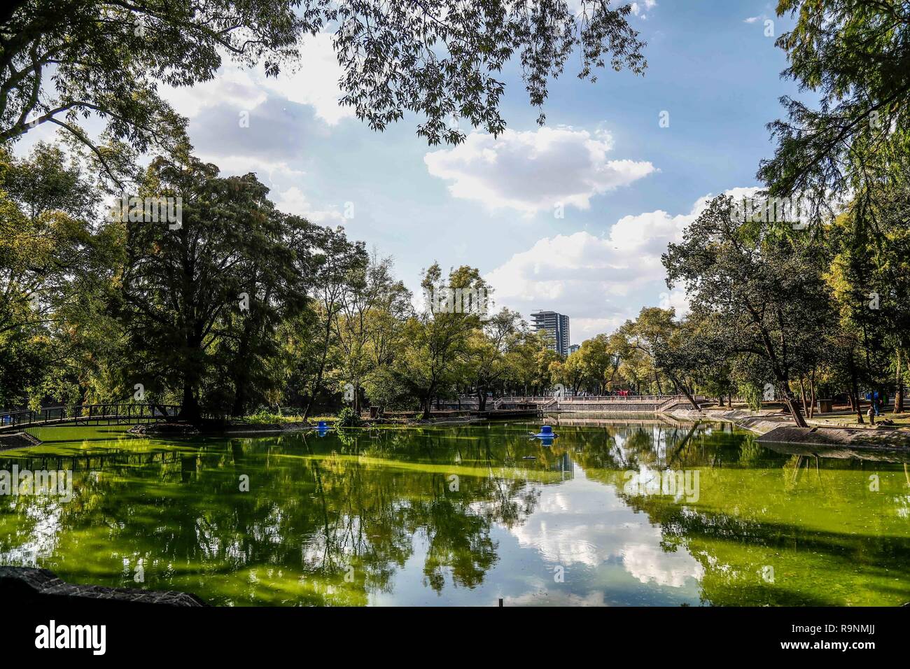El bosque de Chapultepec. parque urbano  en la Ciudad de México. (Foto: Luis Gutierrez / NortePhoto.com). Stock Photo