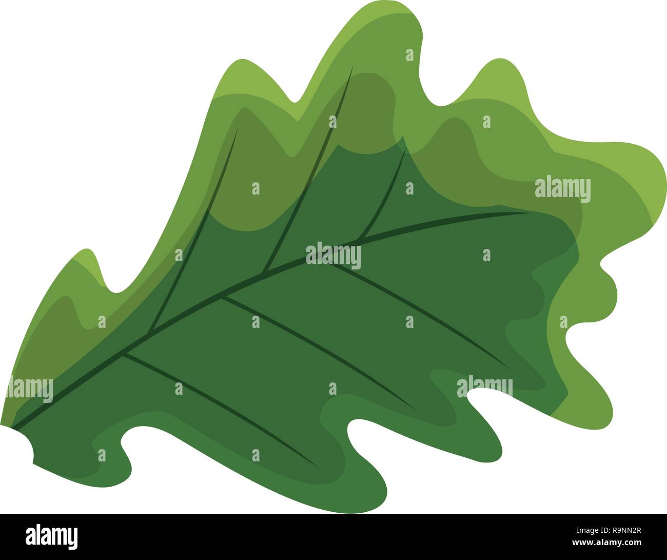 leaf icon over white background, colorful design, vector illustration ...