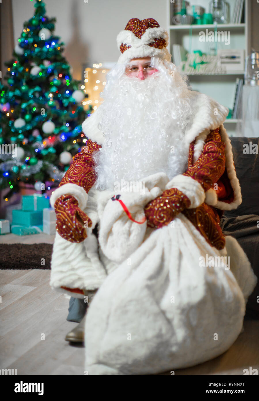 Portrait of Santa Claus in a red suit on the background of the Christmas tree. Brings gifts. Stock Photo