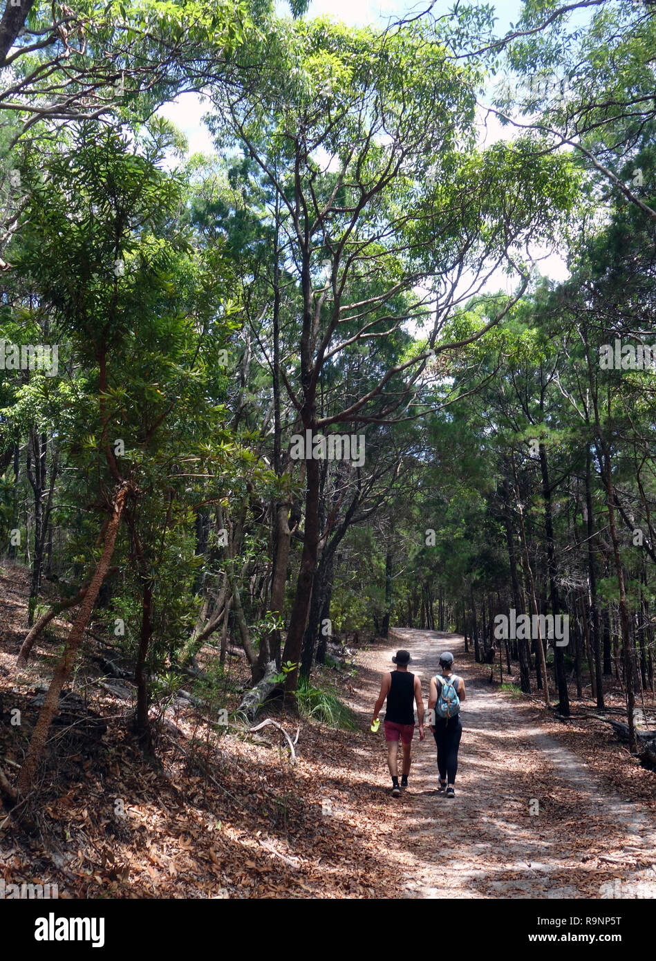 Couple walking through forest on Tanglewood Track, Noosa National Park, Sunshine Coast, Queensland, Australia. No MR Stock Photo